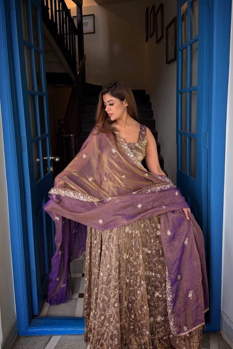 AAKRISH DESIGNERS HEVAY GOWN